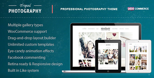 ThemeForest - Tripod v3.7 - Professional WordPress Photography Theme