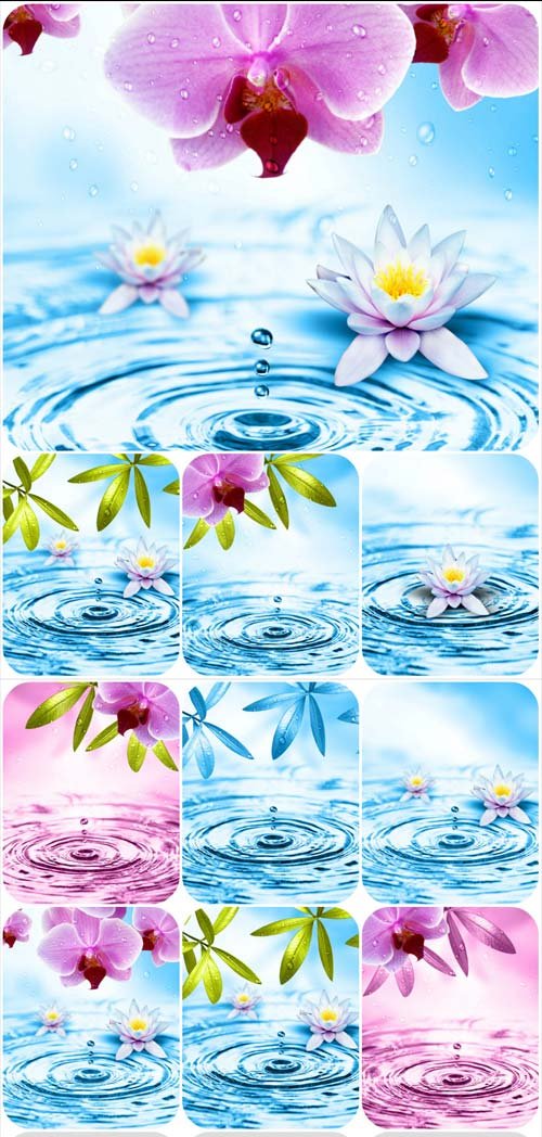 Awesome flowers and water