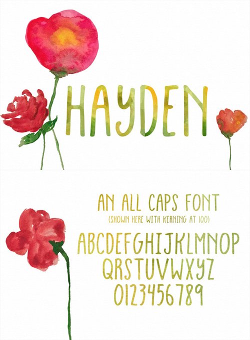 Hayden Font