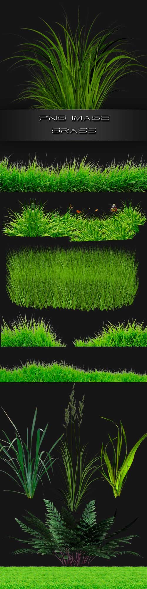 PNG clipart Grass