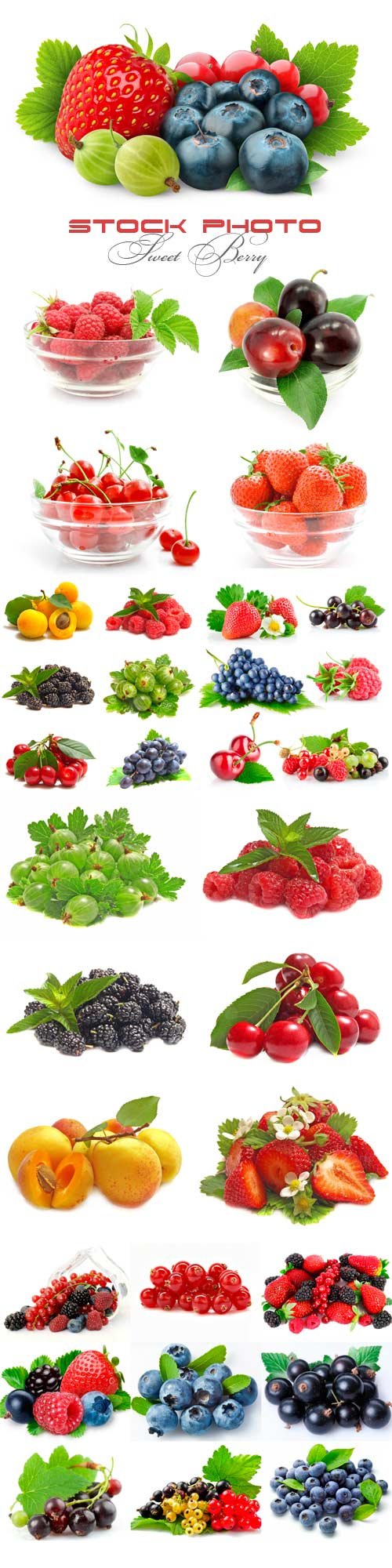 Sweet Berry raster graphics