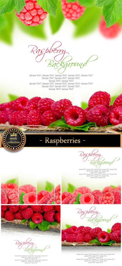 Raspberries background with fresh berries - Stock Photo
