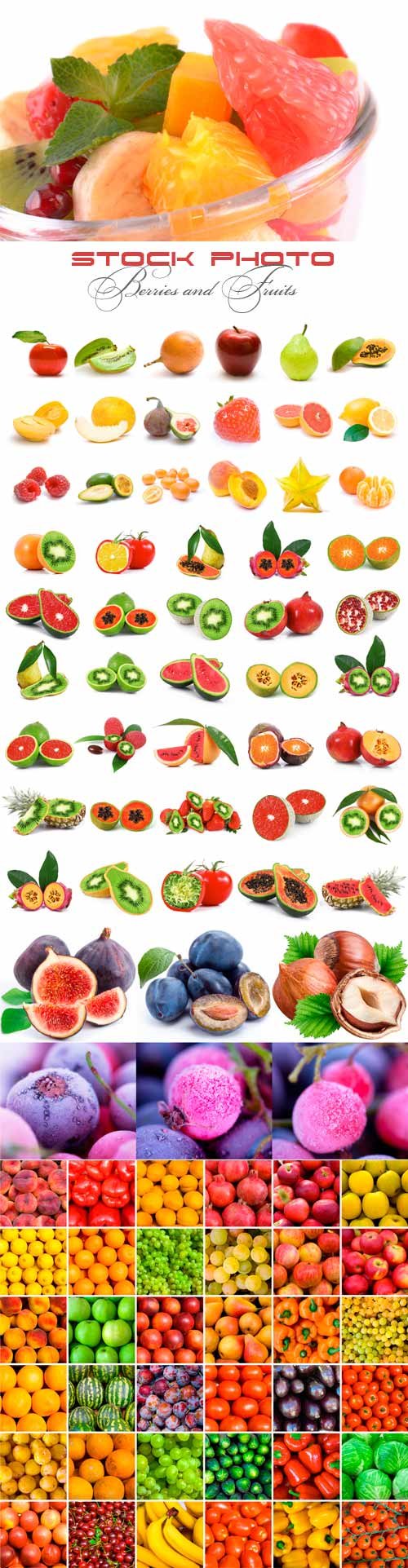 Berries and fruits raster graphics