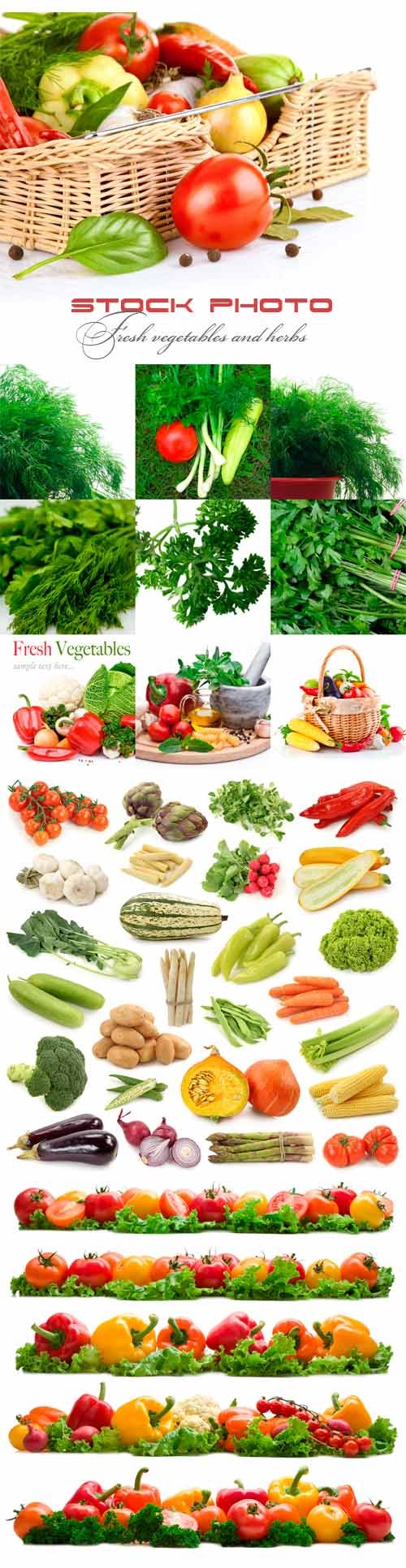 Fresh vegetables and herbs