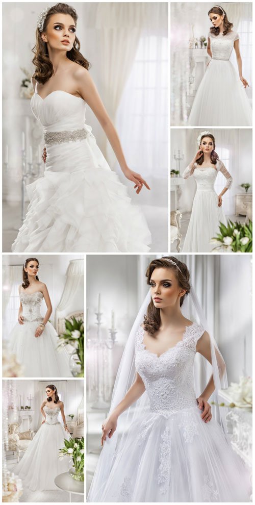 Bride in a luxurious wedding dress - Stock photo