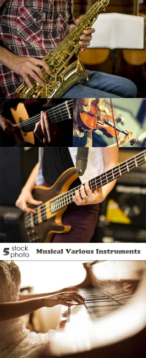 Photos - Musical Various Instruments