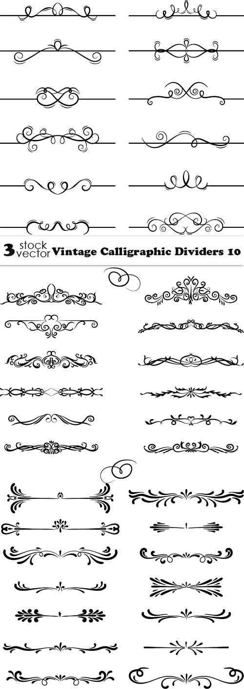 Vectors - Vintage Calligraphic Dividers 10
