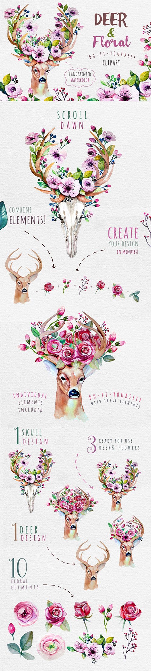 Deer, skull & floral - Creativemarket 334111