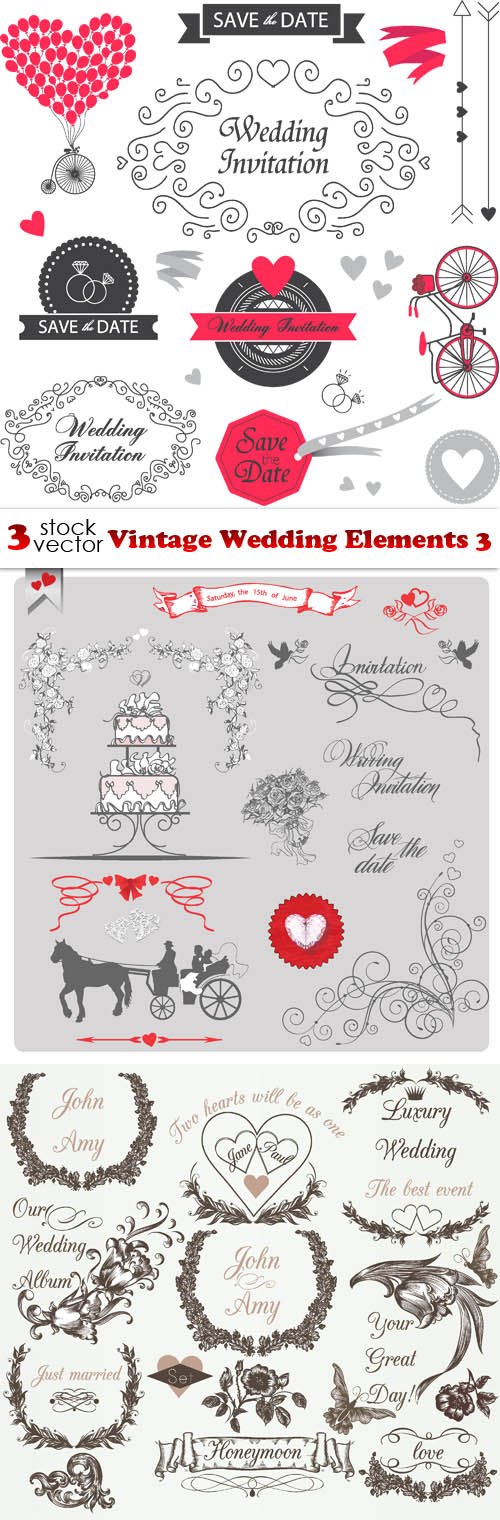Vectors - Vintage Wedding Elements 3