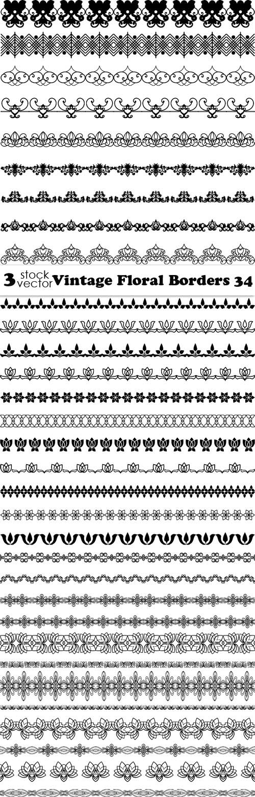 Vectors - Vintage Floral Borders 34
