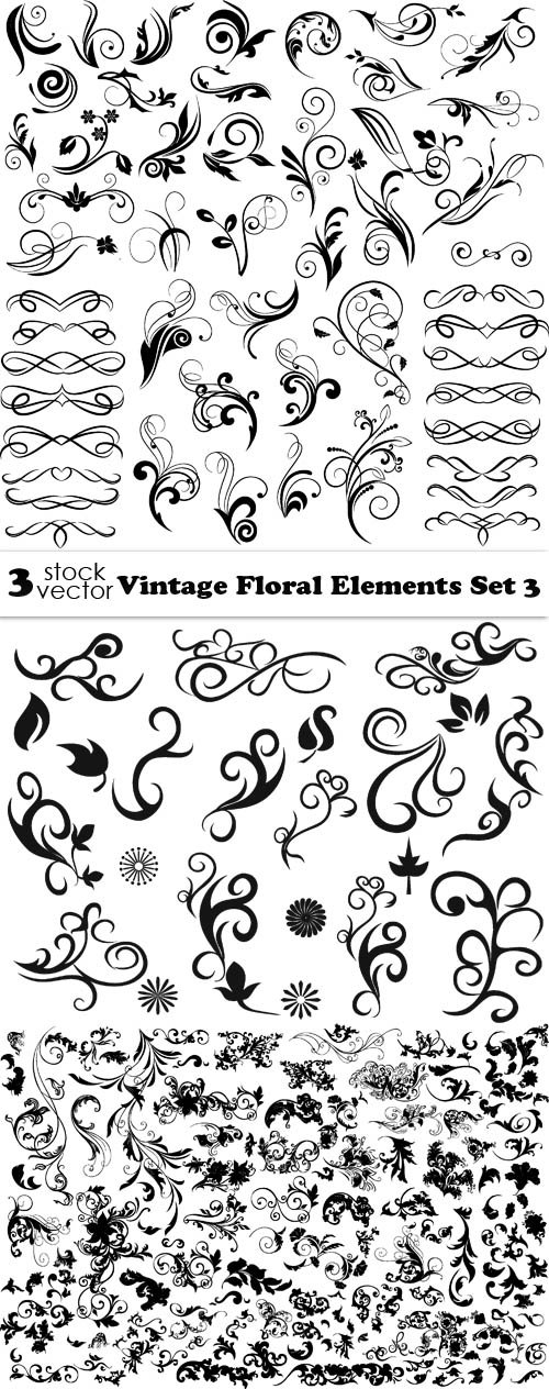 Vectors - Vintage Floral Elements Set 3