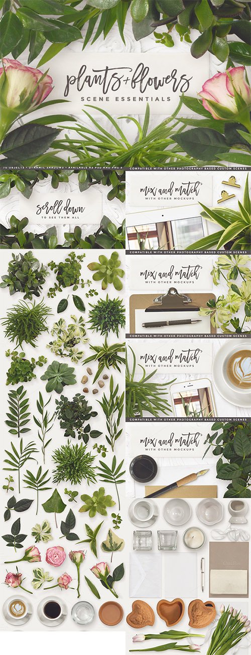 Essential Plants & Flowers - Creativemarket 578140 » NitroGFX