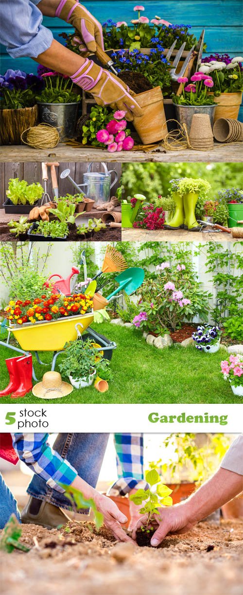 Photos - Gardening