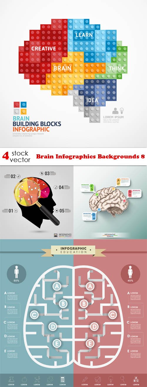 Vectors - Brain Infographics Backgrounds 8