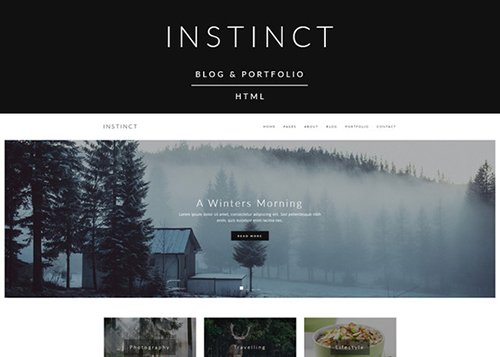 Instinct - Blog & Portfolio Template - Creativemarket 608680
