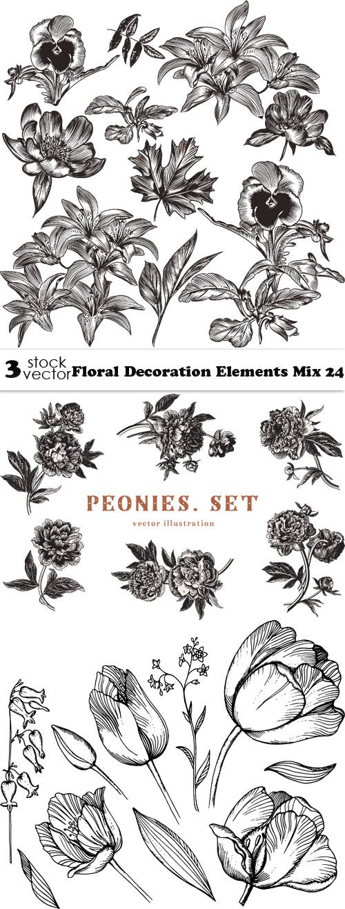 Vectors - Floral Decoration Elements Mix 24
