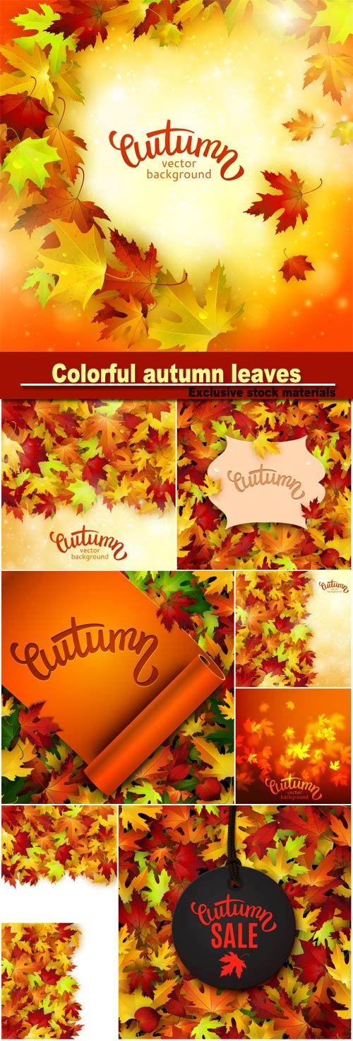 Vector illustration with colorful autumn leaves, card template, natural background