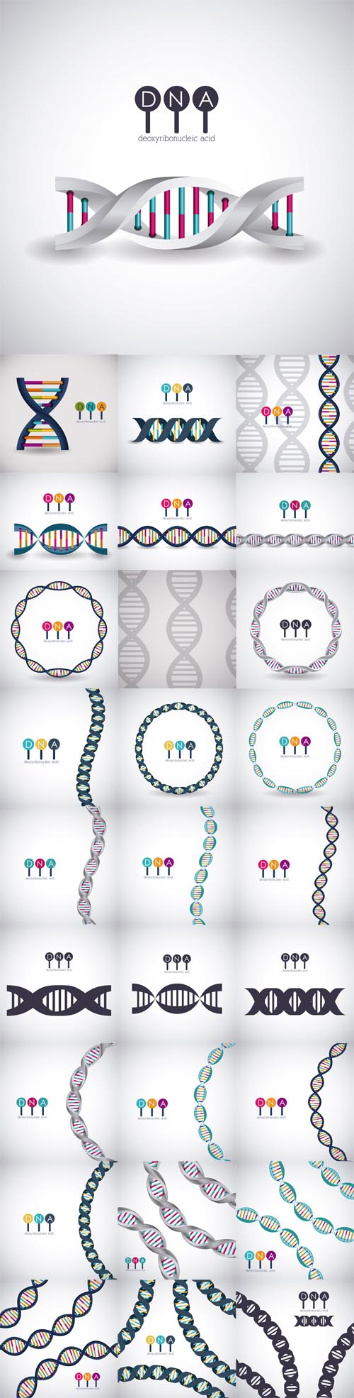 Vector Dna structure chromosome icon. Science molecule genetic and biology theme