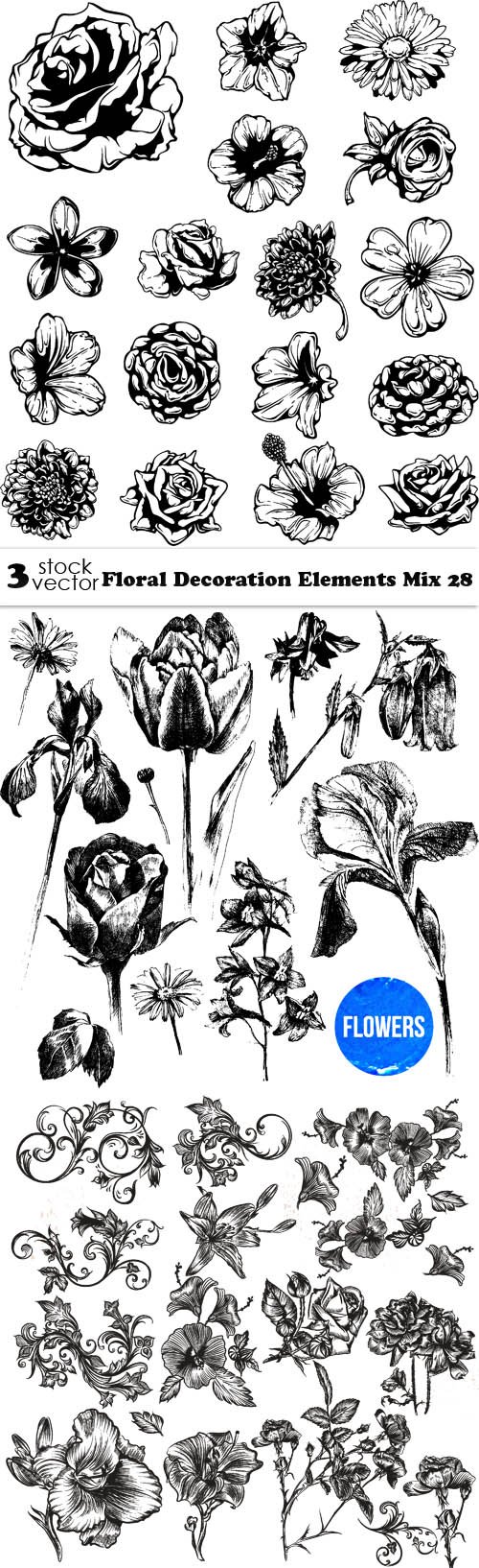 Vectors - Floral Decoration Elements Mix 28