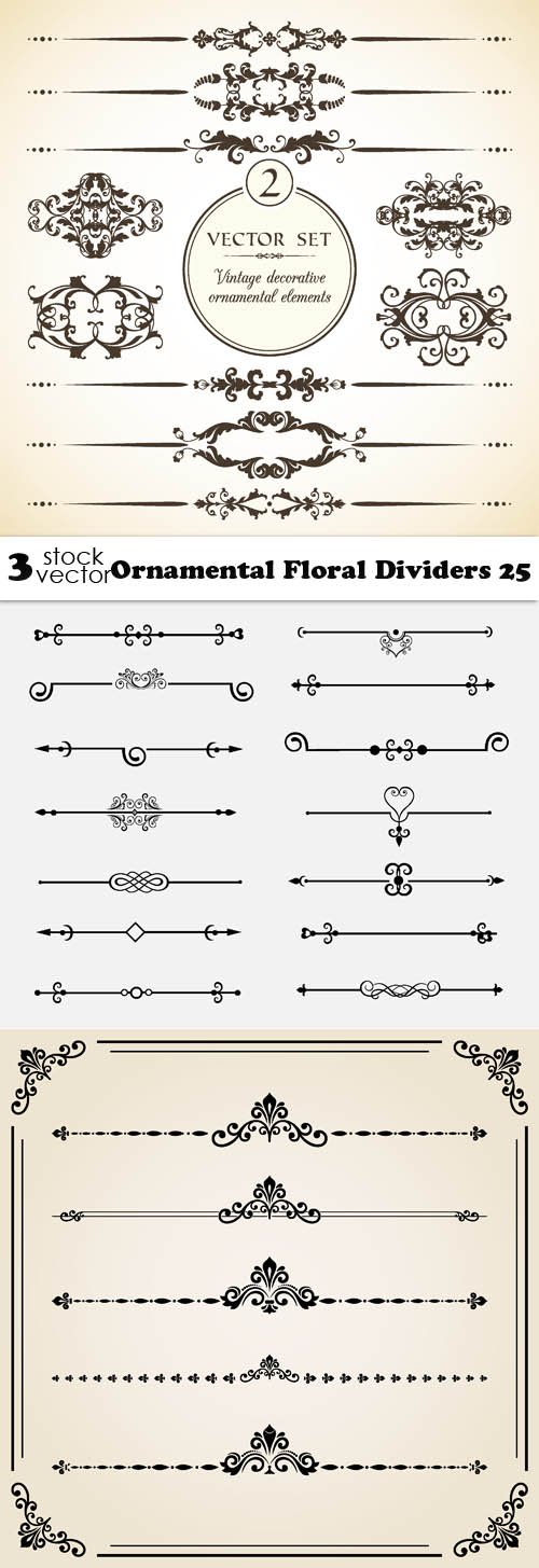 Vectors - Ornamental Floral Dividers 25