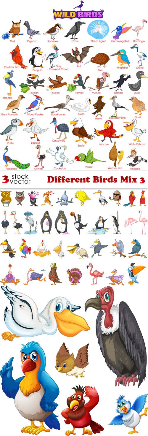 Vectors - Different Birds Mix 3