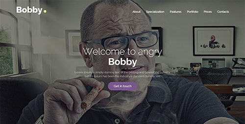 ThemeForest - Bobby - Creative Service Unbounce Landing Page (Update: 22 July 16) - 16131074