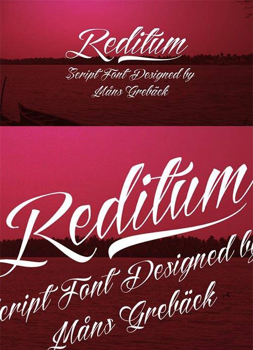 Reditum Script Font