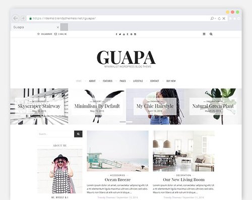 Minimal WordPress Blog Theme - "Guapa" v1.2.1 - CM 1022536