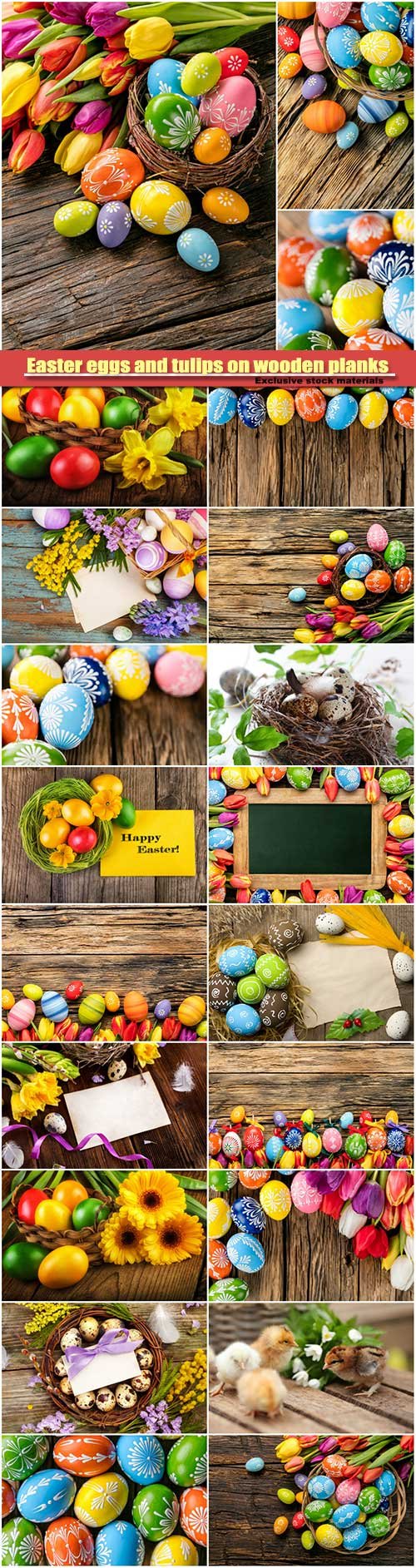 Easter eggs and tulips on wooden background
