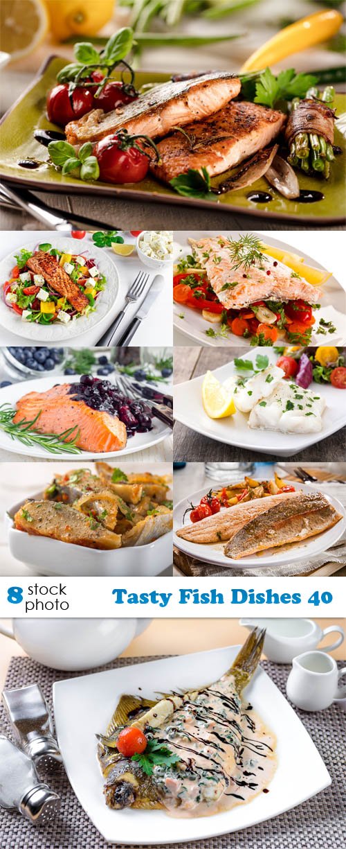 Photos - Tasty Fish Dishes 40