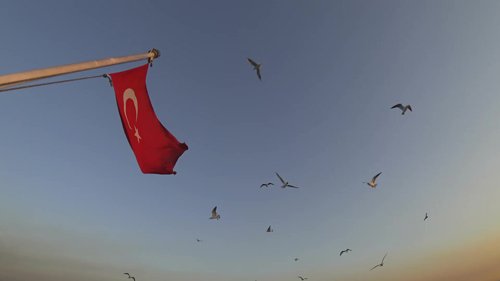 HD Footage - Turkish Flag and Seagulls