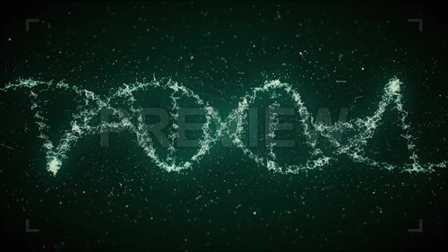 Looped DNA Strands