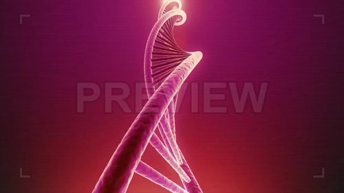 Single Rotating DNA Loop