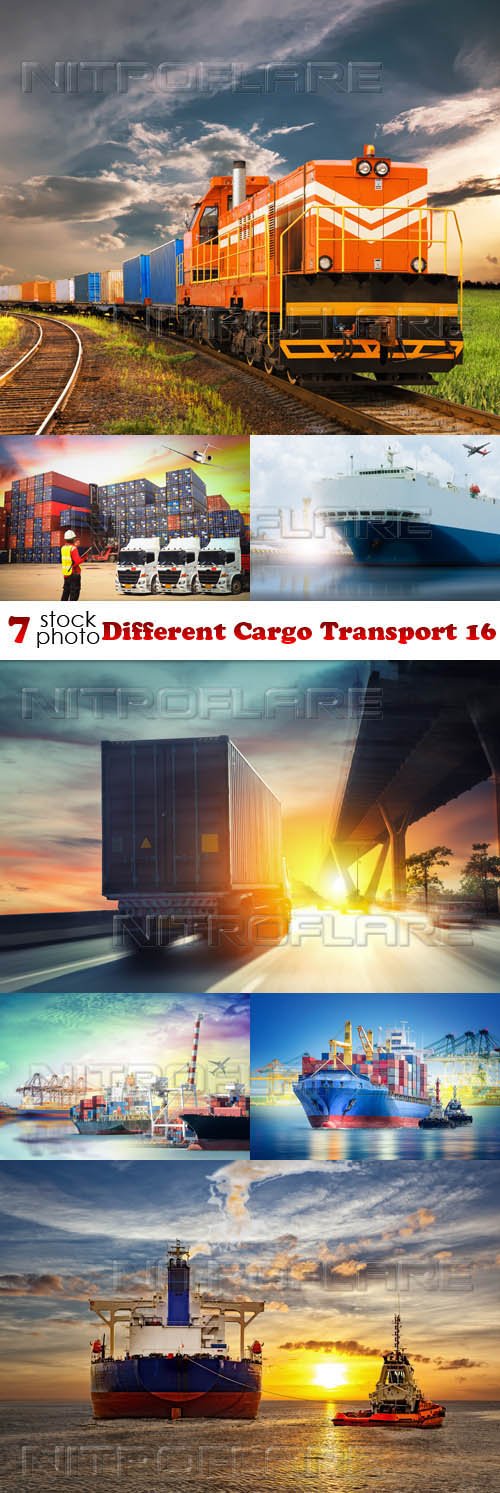 Photos - Different Cargo Transport 16