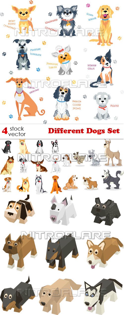 Vectors - Different Dogs Set 2