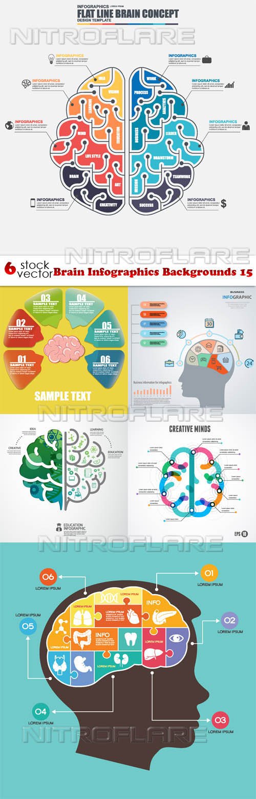 Vectors - Brain Infographics Backgrounds 15