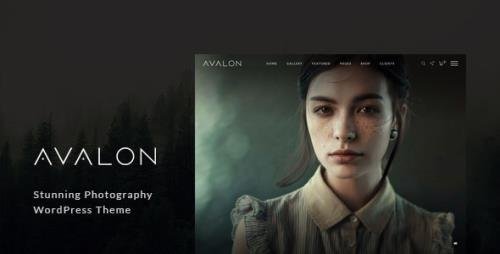 ThemeForest - Avalon v1.0.9.9 - Photography and Portfolio WordPress Theme for Photographers - 19270449