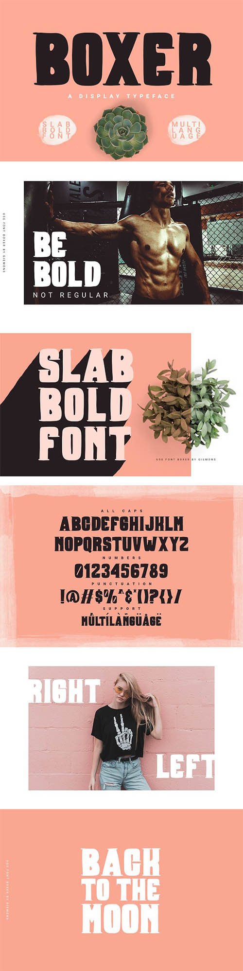 Boxer Typeface 2432387