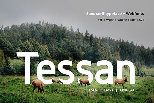 Tessan Sans - Modern Typeface + WebFont