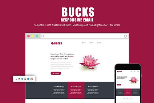 Bucks Responsive Email Template - CM 2158915