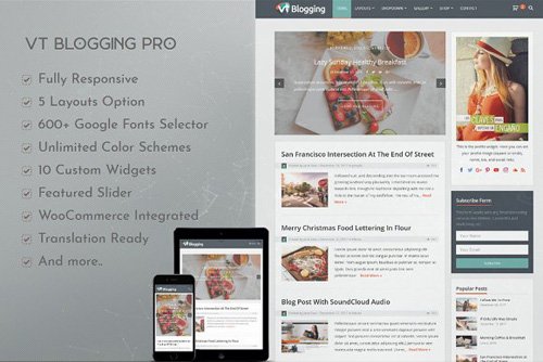 VT Blogging Pro v1.0.1 - WordPress Theme - CM 2556004