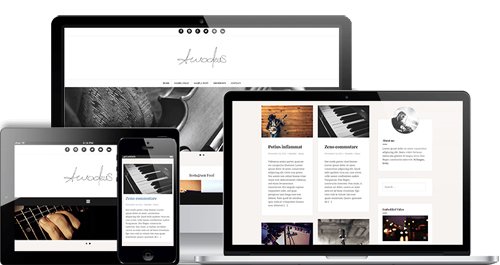 ThemeIsle - Amadeus Pro v1.6.0 - Premium WordPress Blogging Theme