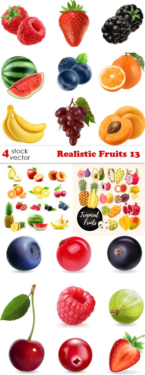 Vectors - Realistic Fruits 13
