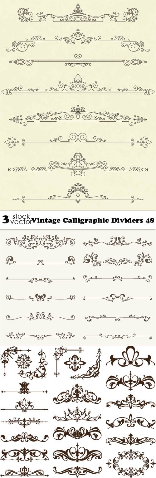 Vectors - Vintage Calligraphic Dividers 48