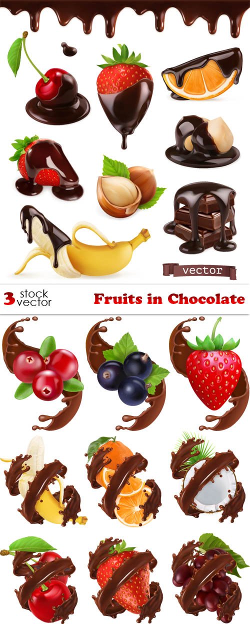 Vectors - Fruits in Chocolate