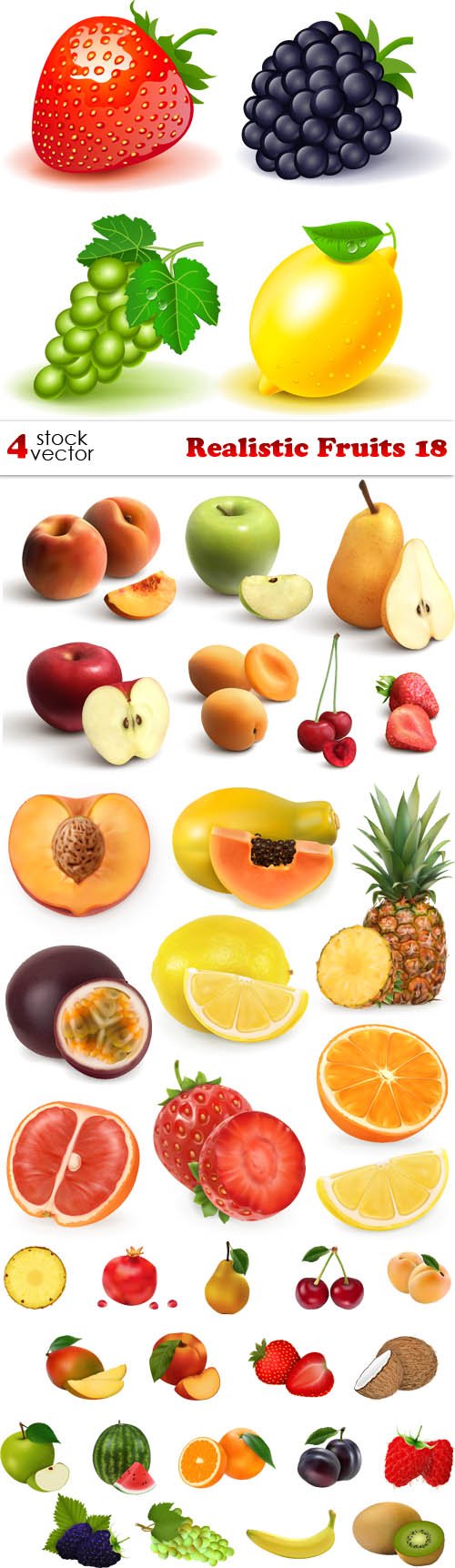 Vectors - Realistic Fruits 18