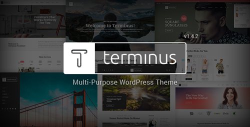 ThemeForest - Terminus v1.4.2 - Responsive Multi-Purpose WordPress Theme - 17853183