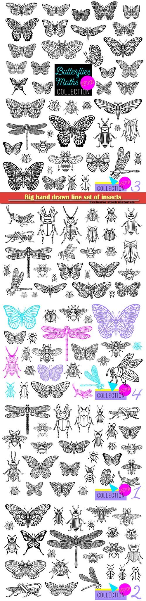 Big hand drawn line set of insects, beetles, honey bees, butterfly moth, bumblebee, wasp, dragonfly, grasshopper