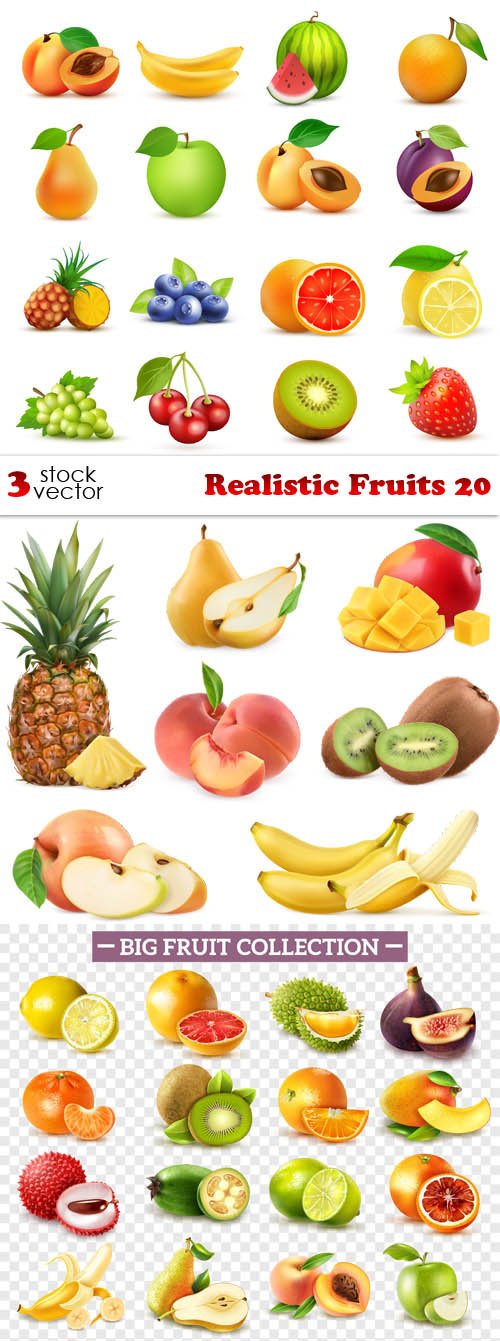 Vectors - Realistic Fruits 20