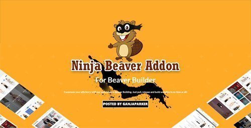 Ninja Beaver Addon v2.0 - Add-On For Beaver Builder Plugin